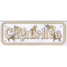 Chihauhau - long hair